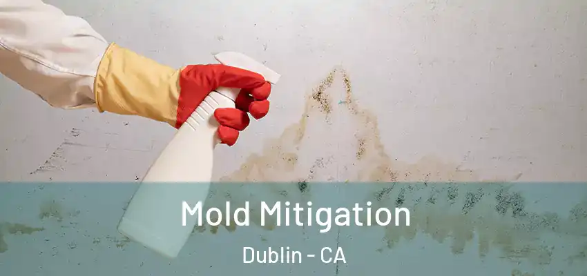  Mold Mitigation Dublin - CA