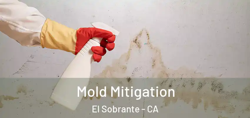  Mold Mitigation El Sobrante - CA