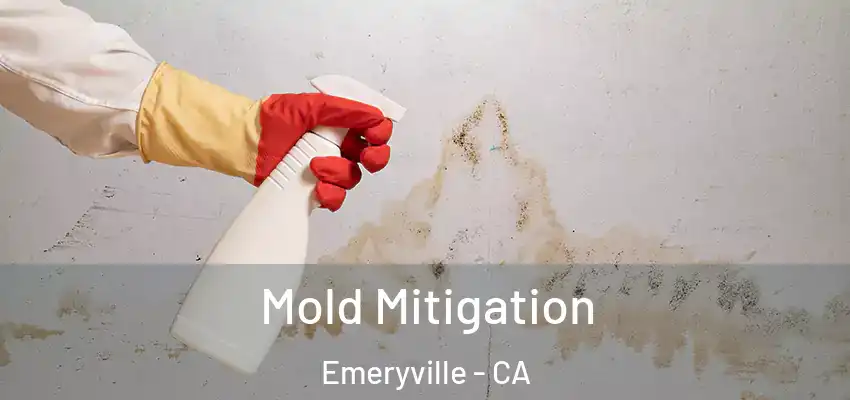  Mold Mitigation Emeryville - CA