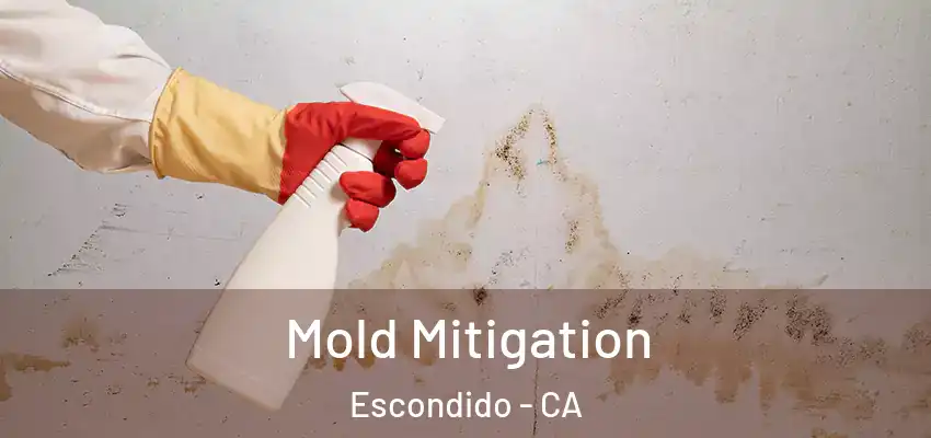 Mold Mitigation Escondido - CA