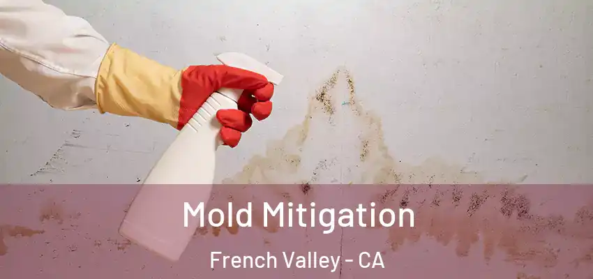  Mold Mitigation French Valley - CA
