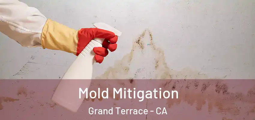 Mold Mitigation Grand Terrace - CA