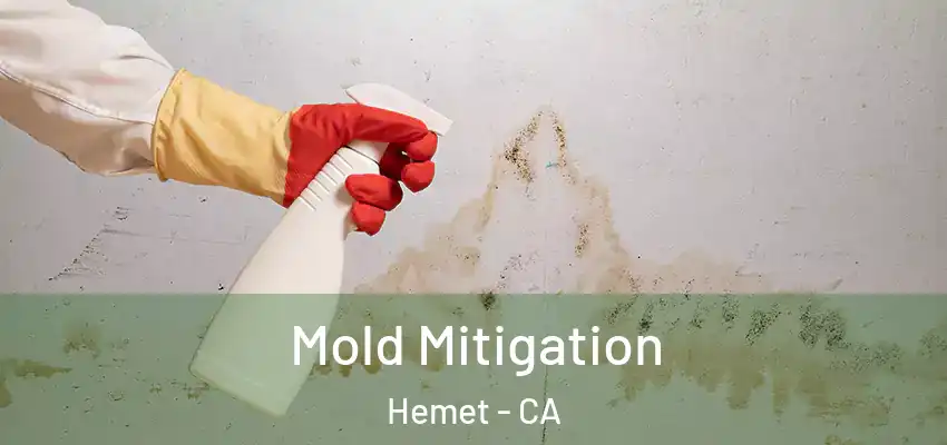  Mold Mitigation Hemet - CA