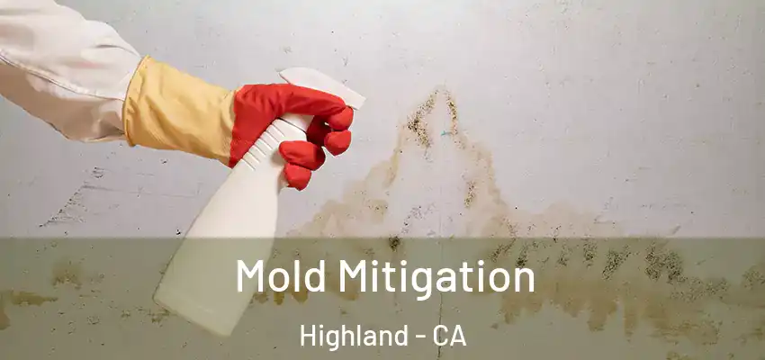  Mold Mitigation Highland - CA