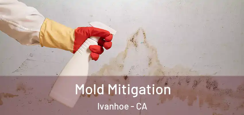  Mold Mitigation Ivanhoe - CA