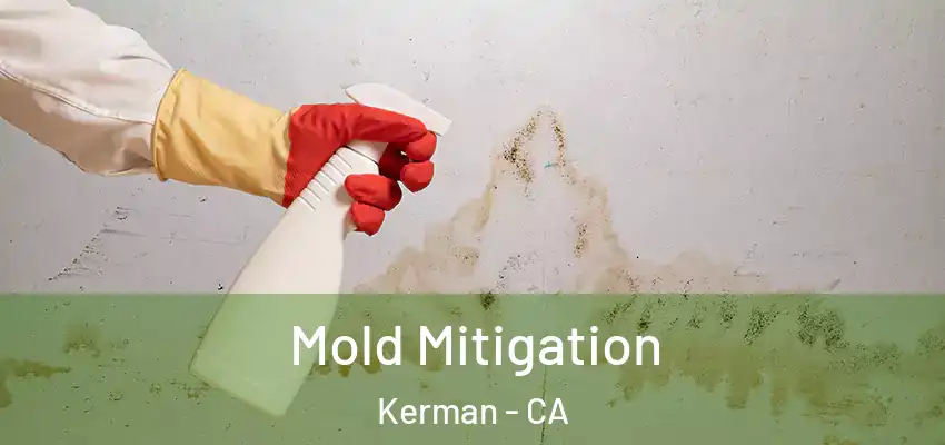  Mold Mitigation Kerman - CA