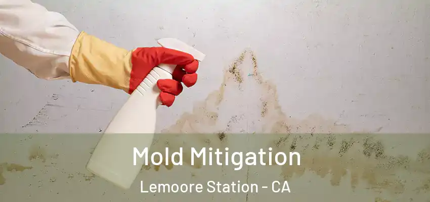  Mold Mitigation Lemoore Station - CA