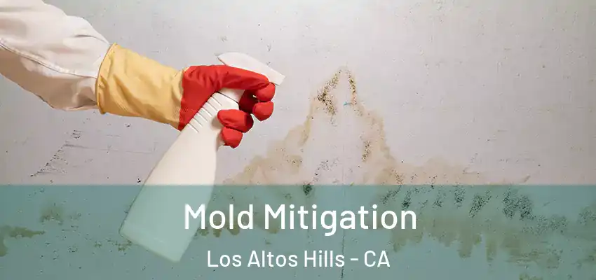 Mold Mitigation Los Altos Hills - CA
