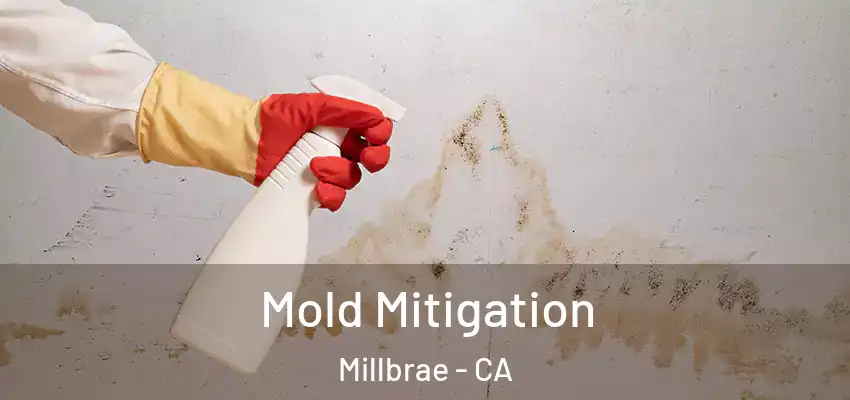  Mold Mitigation Millbrae - CA