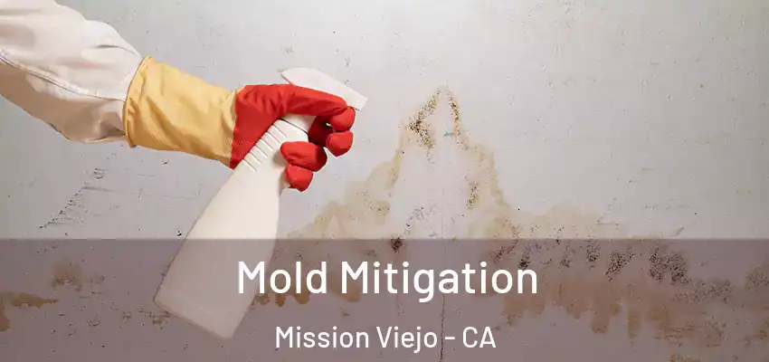Mold Mitigation Mission Viejo - CA