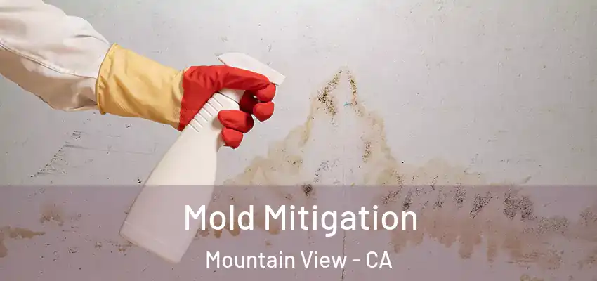 Mold Mitigation Mountain View - CA