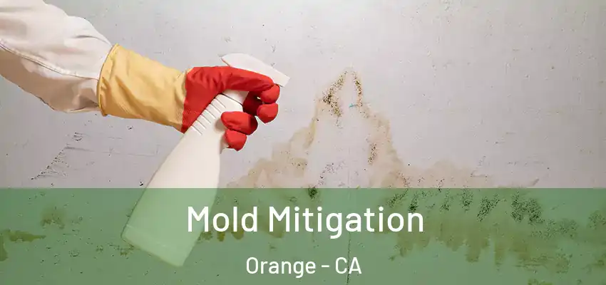  Mold Mitigation Orange - CA