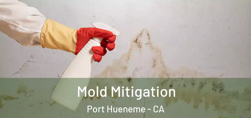 Mold Mitigation Port Hueneme - CA