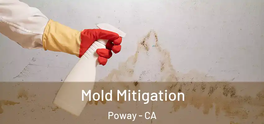  Mold Mitigation Poway - CA