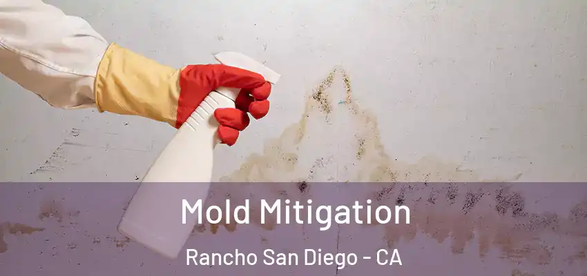  Mold Mitigation Rancho San Diego - CA