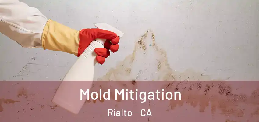  Mold Mitigation Rialto - CA