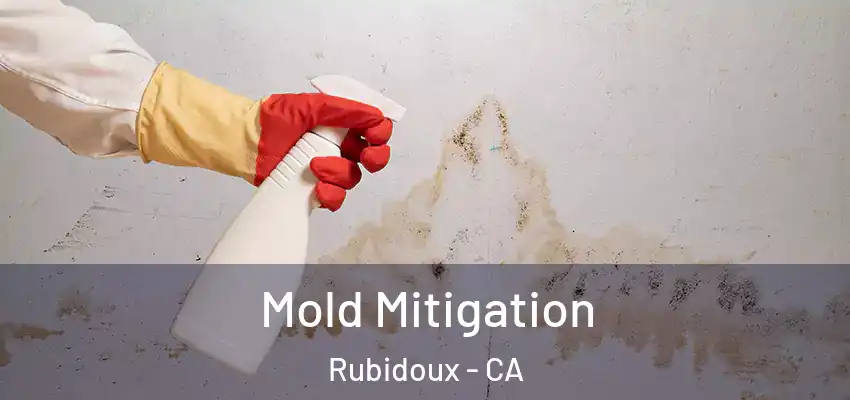  Mold Mitigation Rubidoux - CA