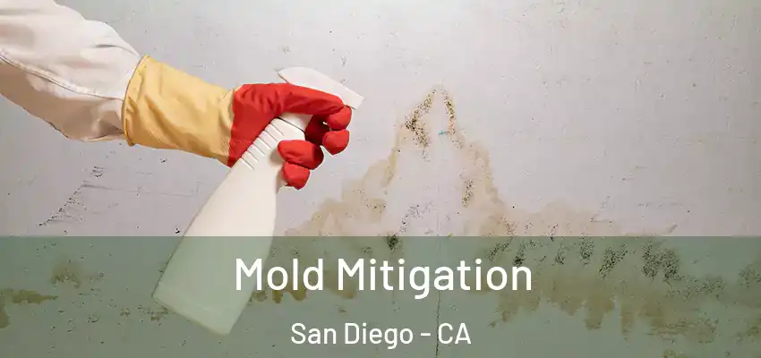  Mold Mitigation San Diego - CA
