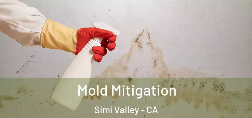  Mold Mitigation Simi Valley - CA