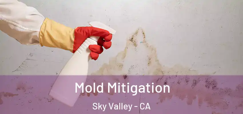  Mold Mitigation Sky Valley - CA