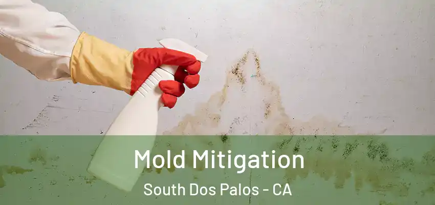 Mold Mitigation South Dos Palos - CA