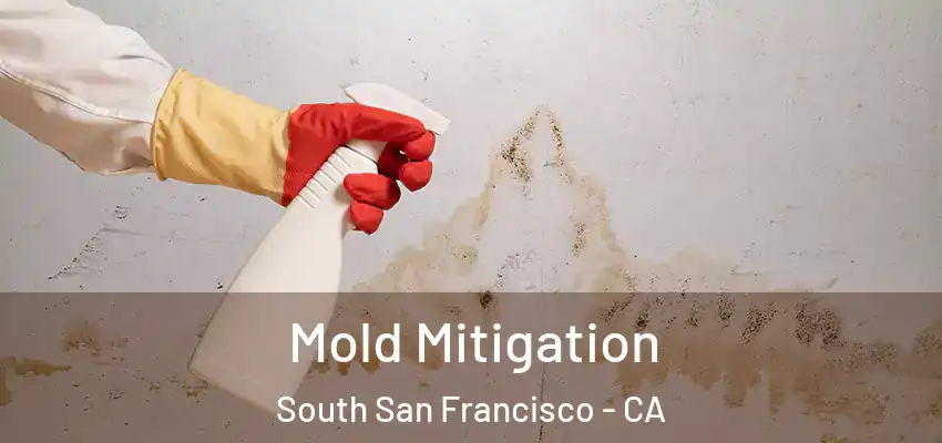  Mold Mitigation South San Francisco - CA