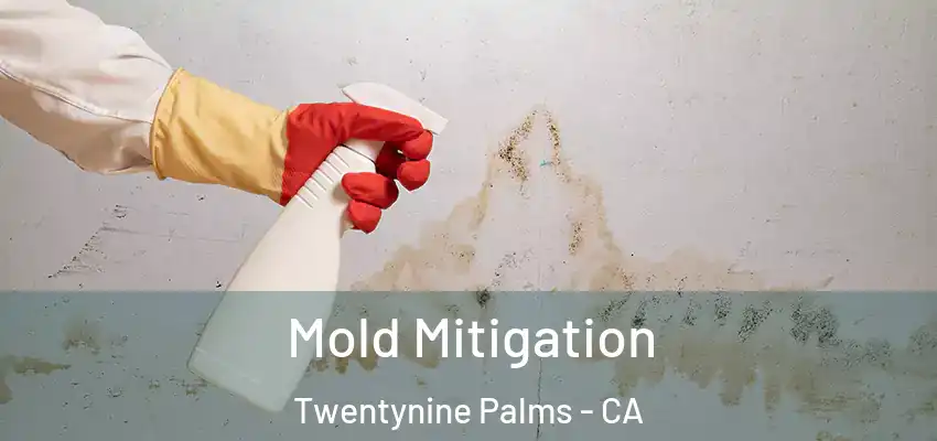  Mold Mitigation Twentynine Palms - CA