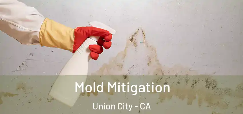  Mold Mitigation Union City - CA