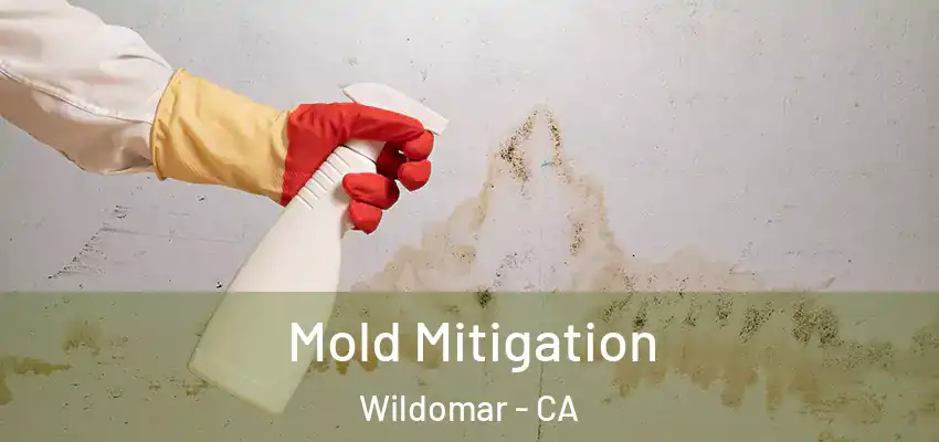  Mold Mitigation Wildomar - CA