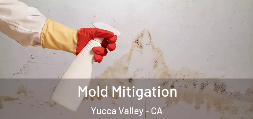  Mold Mitigation Yucca Valley - CA
