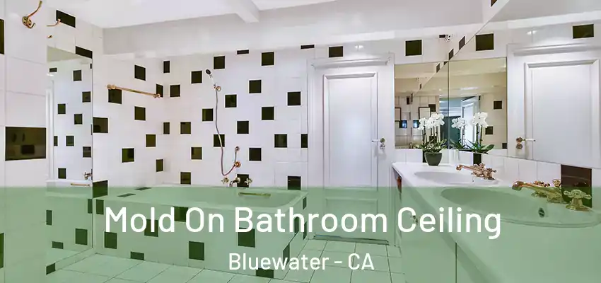  Mold On Bathroom Ceiling Bluewater - CA