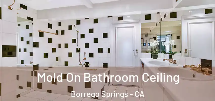 Mold On Bathroom Ceiling Borrego Springs - CA