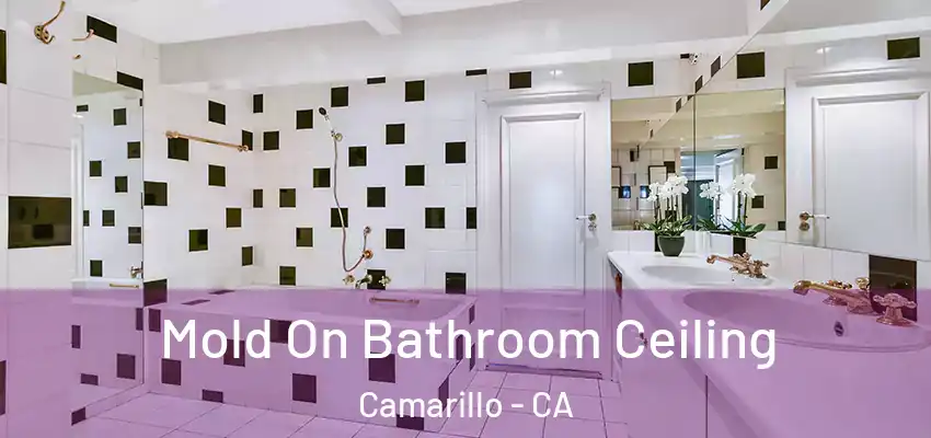  Mold On Bathroom Ceiling Camarillo - CA