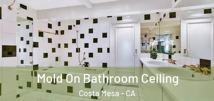Mold On Bathroom Ceiling Costa Mesa - CA