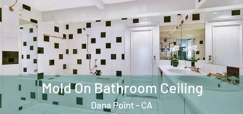 Mold On Bathroom Ceiling Dana Point - CA
