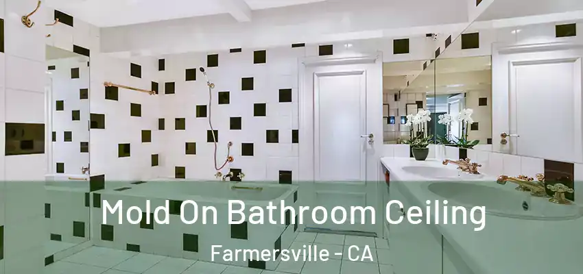  Mold On Bathroom Ceiling Farmersville - CA