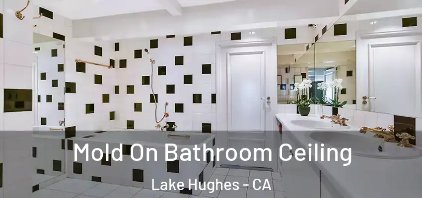 Mold On Bathroom Ceiling Lake Hughes - CA