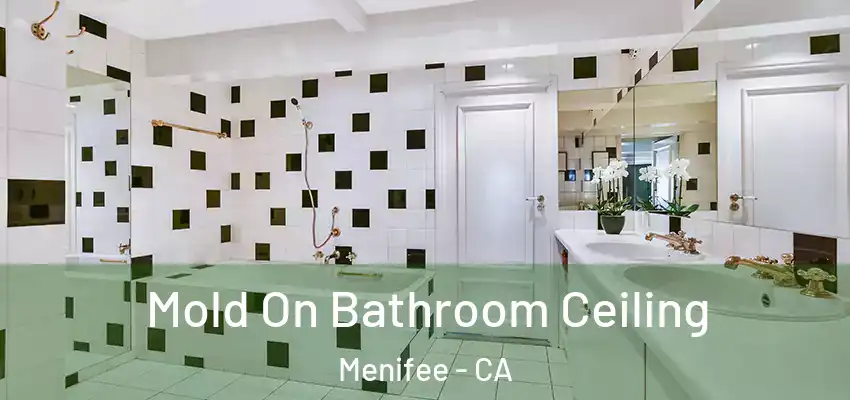  Mold On Bathroom Ceiling Menifee - CA