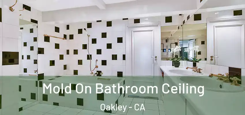 Mold On Bathroom Ceiling Oakley - CA