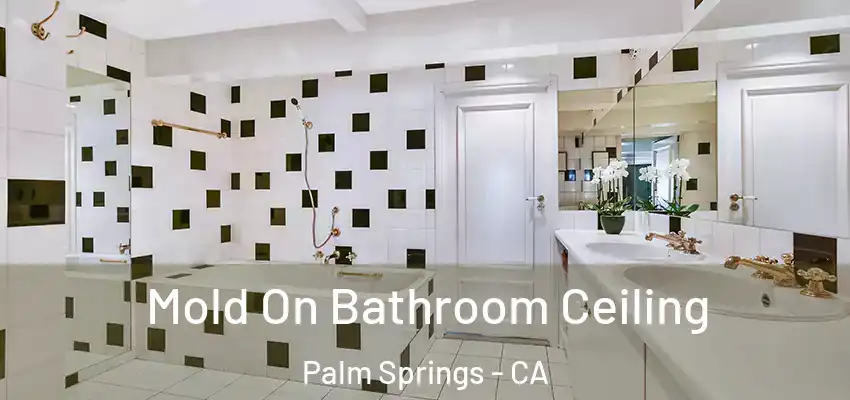 Mold On Bathroom Ceiling Palm Springs - CA