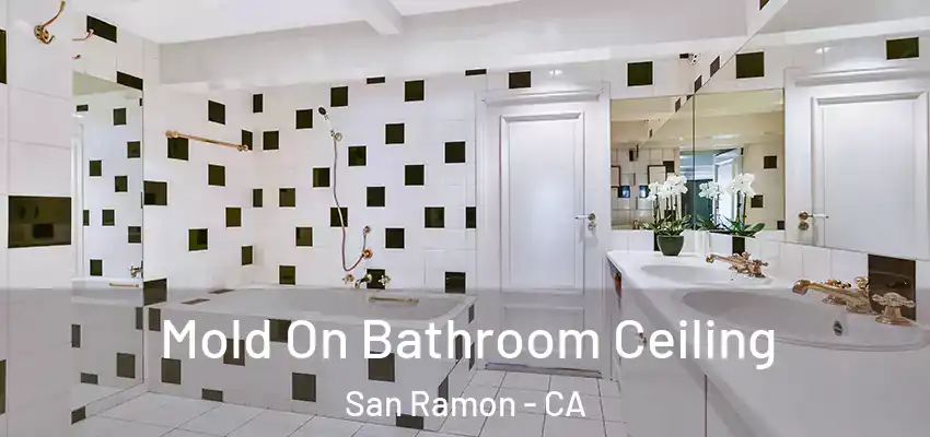  Mold On Bathroom Ceiling San Ramon - CA