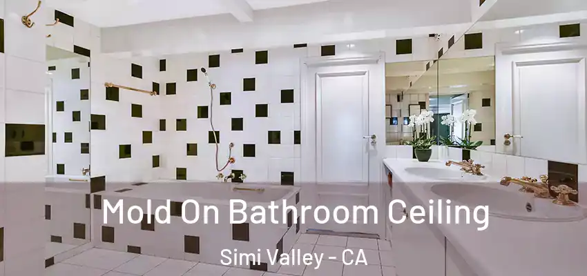  Mold On Bathroom Ceiling Simi Valley - CA