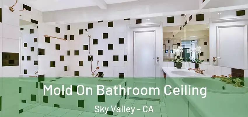  Mold On Bathroom Ceiling Sky Valley - CA