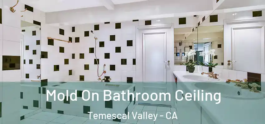 Mold On Bathroom Ceiling Temescal Valley - CA