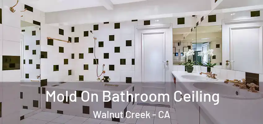  Mold On Bathroom Ceiling Walnut Creek - CA