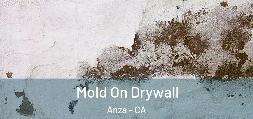  Mold On Drywall Anza - CA