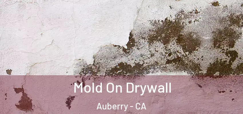 Mold On Drywall Auberry - CA