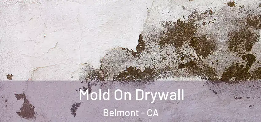  Mold On Drywall Belmont - CA