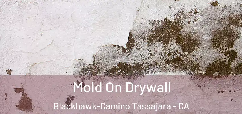  Mold On Drywall Blackhawk-Camino Tassajara - CA