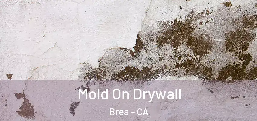  Mold On Drywall Brea - CA
